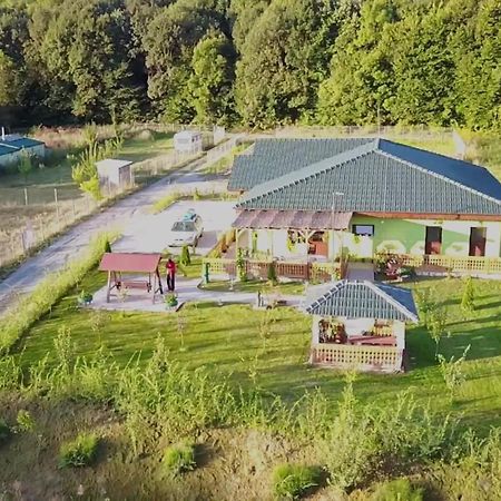 Agropensiunea Valea Fagilor Luncavita Exteriör bild