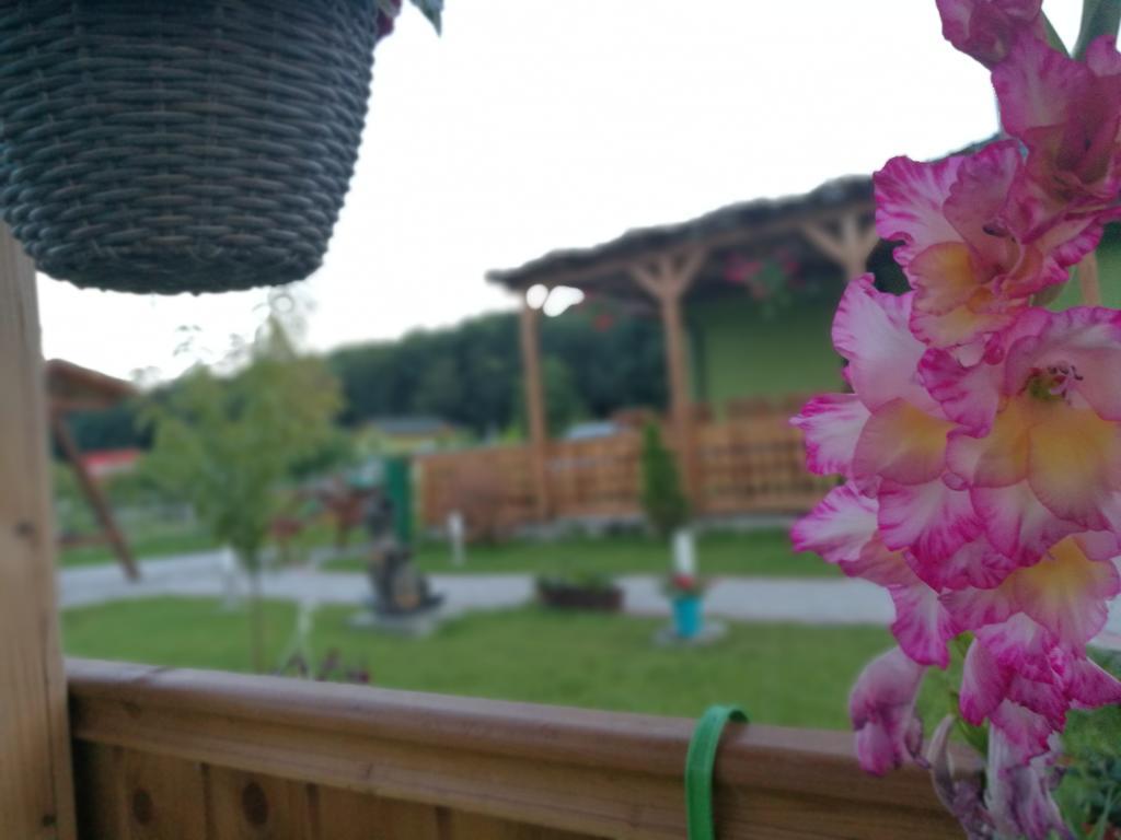 Agropensiunea Valea Fagilor Luncavita Exteriör bild