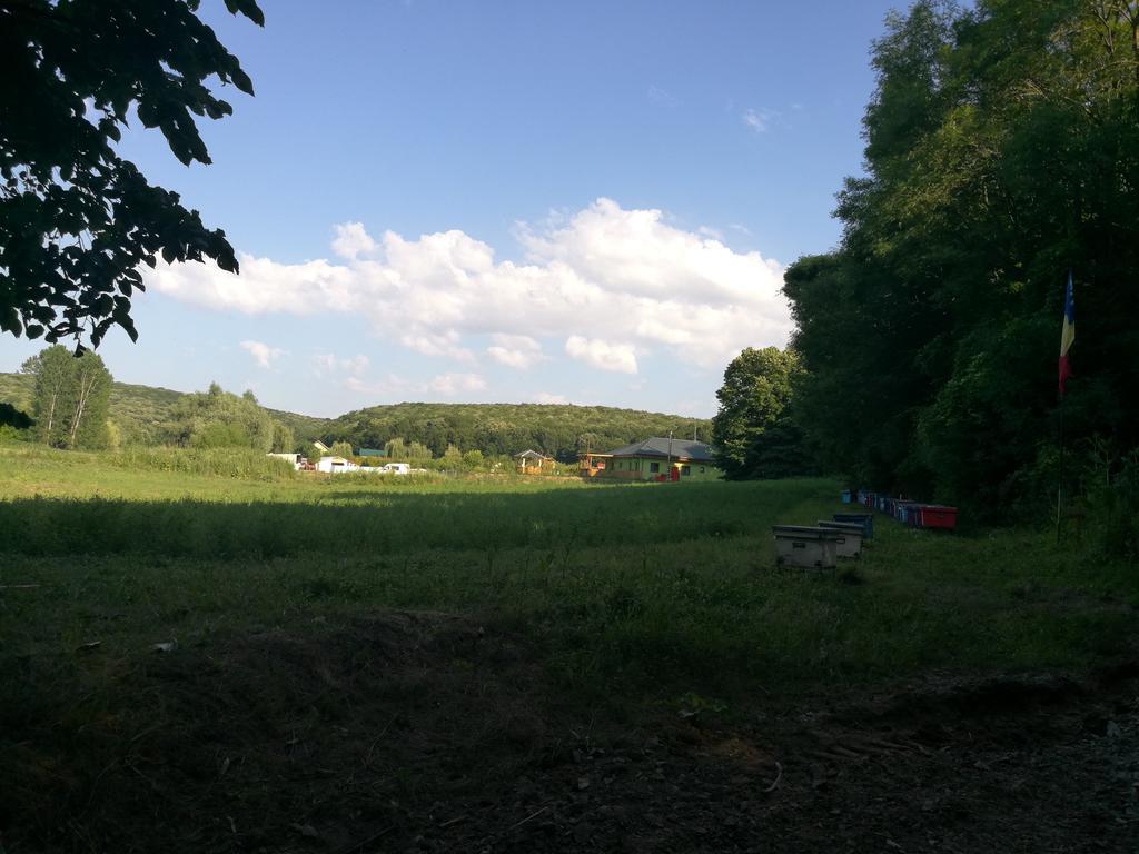 Agropensiunea Valea Fagilor Luncavita Exteriör bild