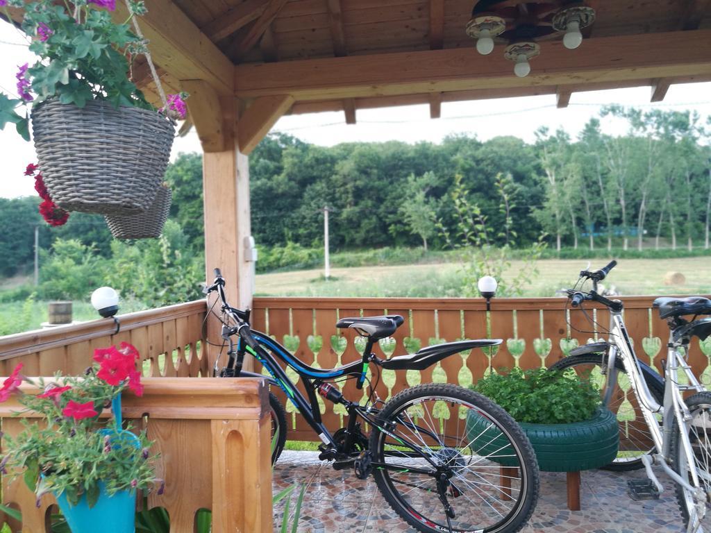 Agropensiunea Valea Fagilor Luncavita Exteriör bild