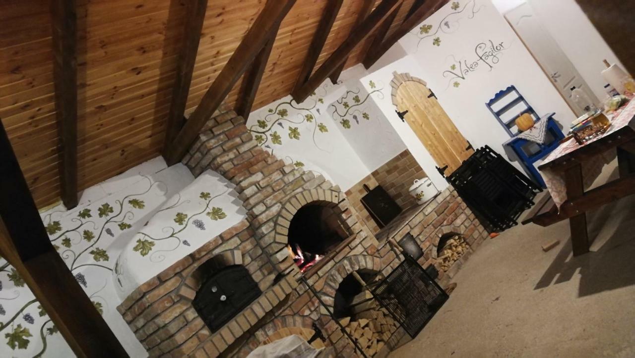 Agropensiunea Valea Fagilor Luncavita Exteriör bild