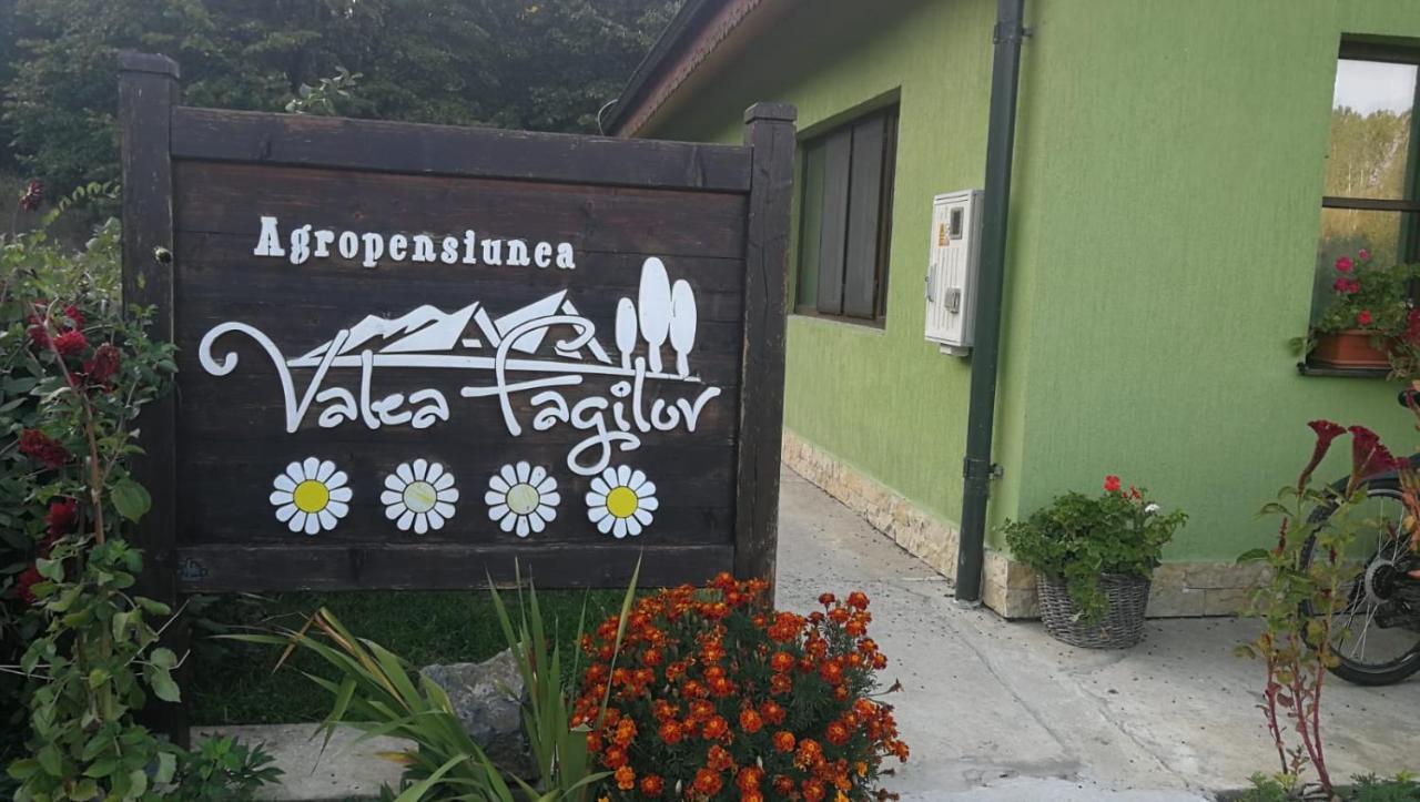 Agropensiunea Valea Fagilor Luncavita Exteriör bild